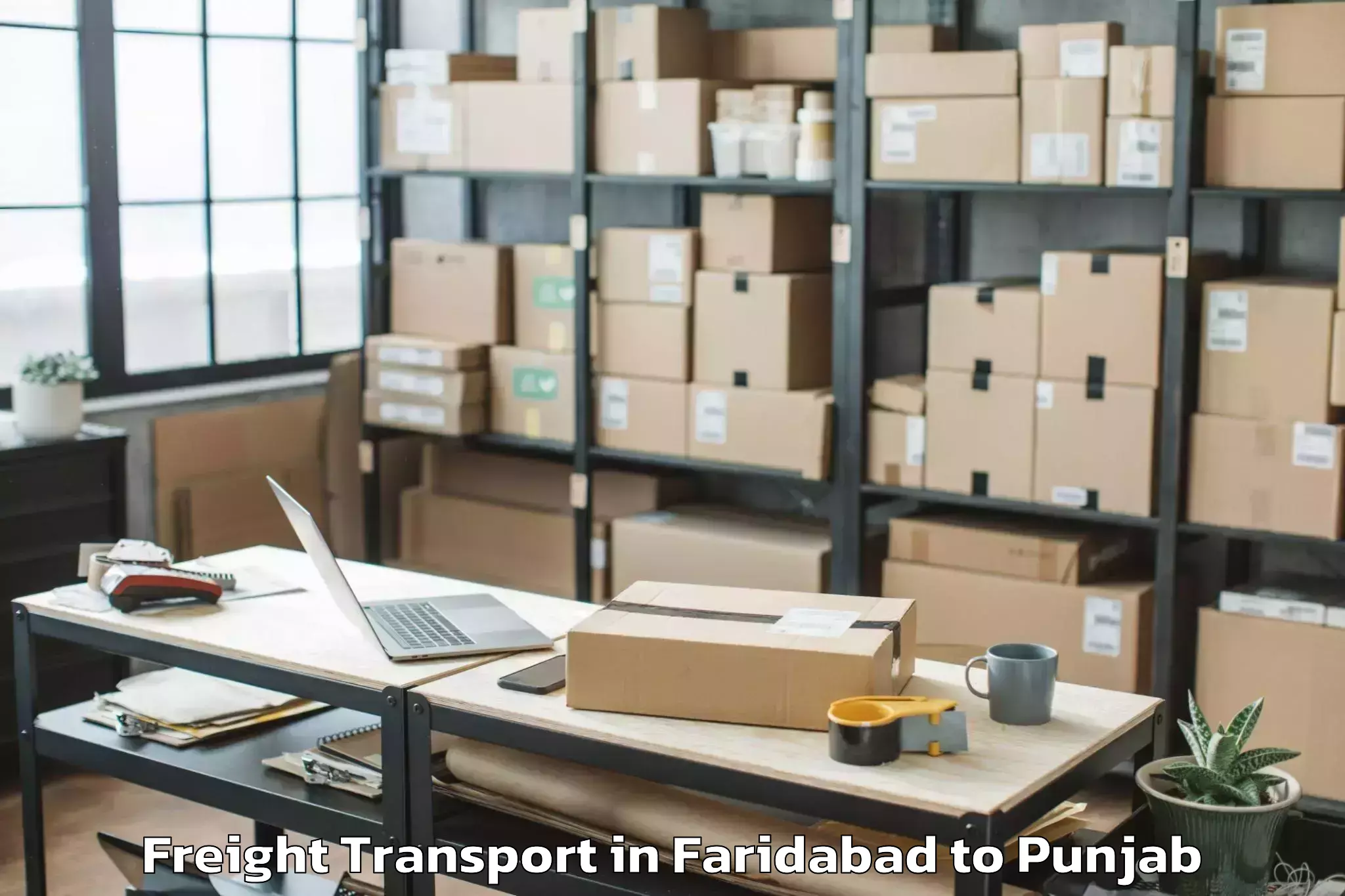 Leading Faridabad to Barnala Freight Transport Provider